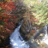 日光の紅葉　竜頭の滝