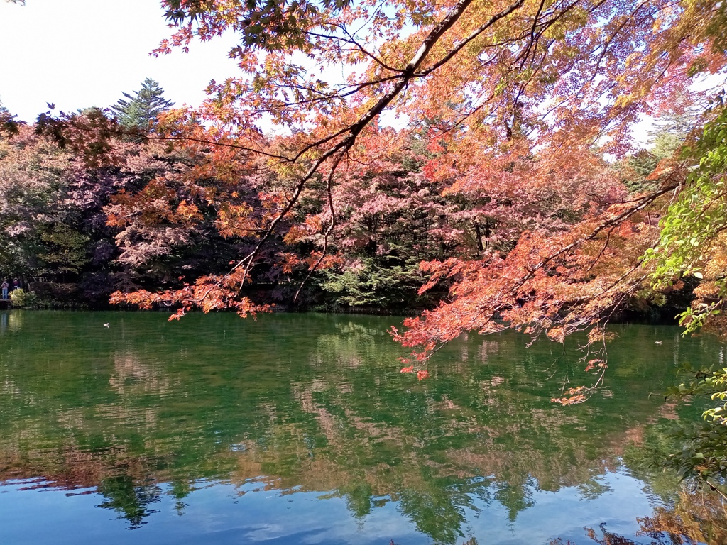 軽井沢　雲場池の秋色