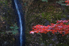 滝と紅葉　榛名神社瓶子の滝