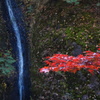 滝と紅葉　榛名神社瓶子の滝