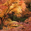 伊香保の紅葉　2