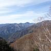 白樺と奥日光の景色　