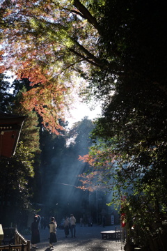 水澤観音にて　光射す紅葉