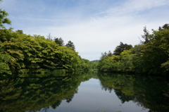 雲場池　６月初旬