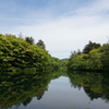 雲場池　６月初旬