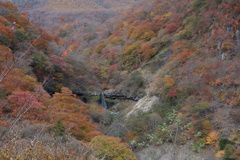 いろは坂　般若滝