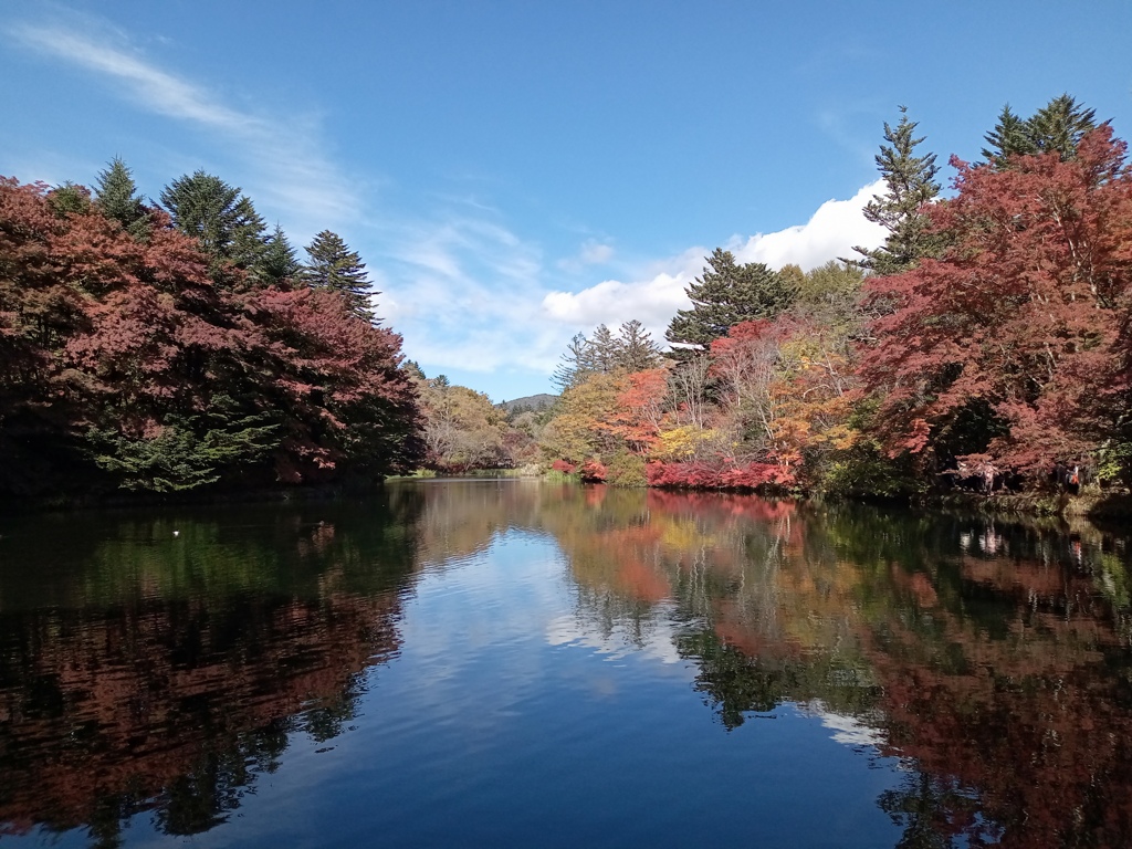 軽井沢　雲場池