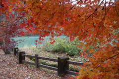 草木湖の紅葉