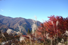 山、紅葉、ススキ　三峰神社にて