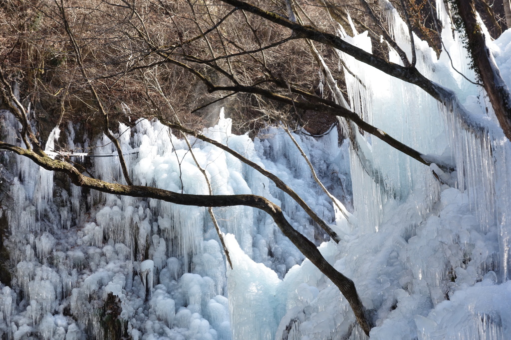 尾ノ内百景の氷柱　3
