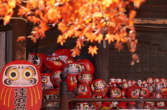 少林寺達磨寺