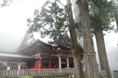 三峰神社　御神木