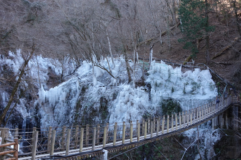 尾ノ内渓谷の氷柱　1