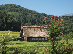 合掌造り１