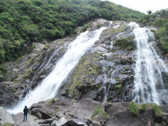 大川の滝