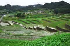 鬼木の棚田