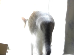 どこへ行く？