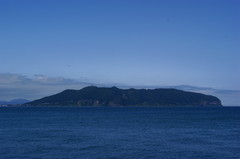 DSC04805