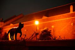 ねこ