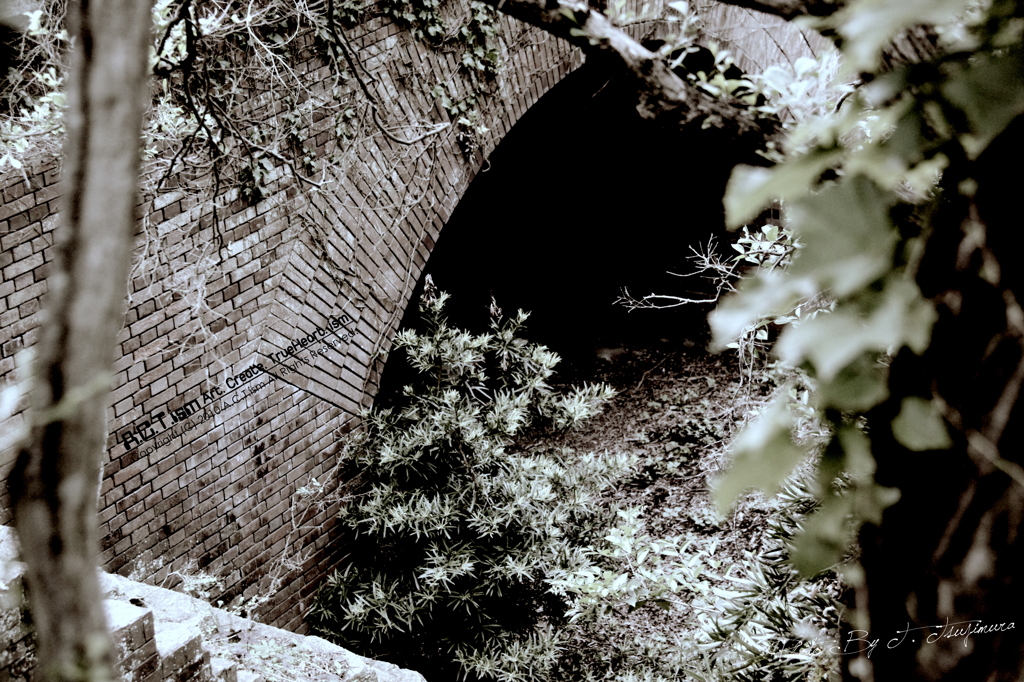 The Trench