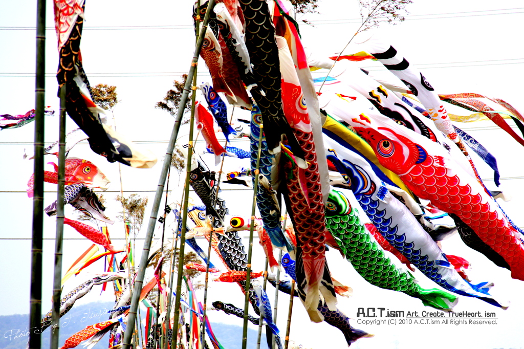 Carp Streamer