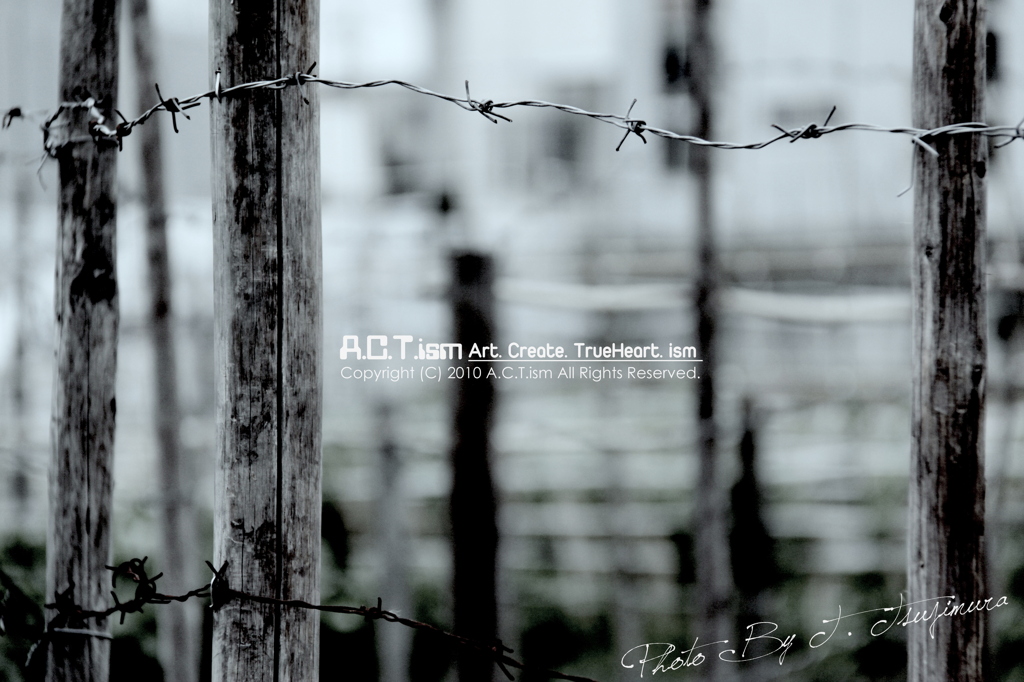 Barbed Wire