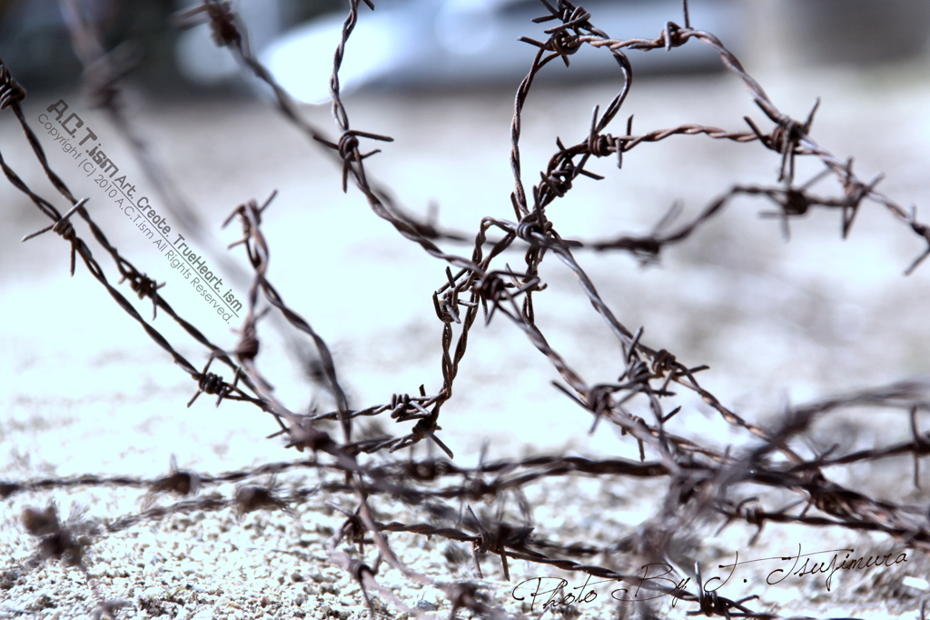 Barbed Wire Ⅱ
