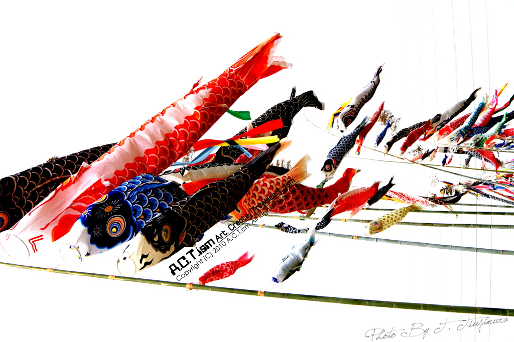 Carp Streamer