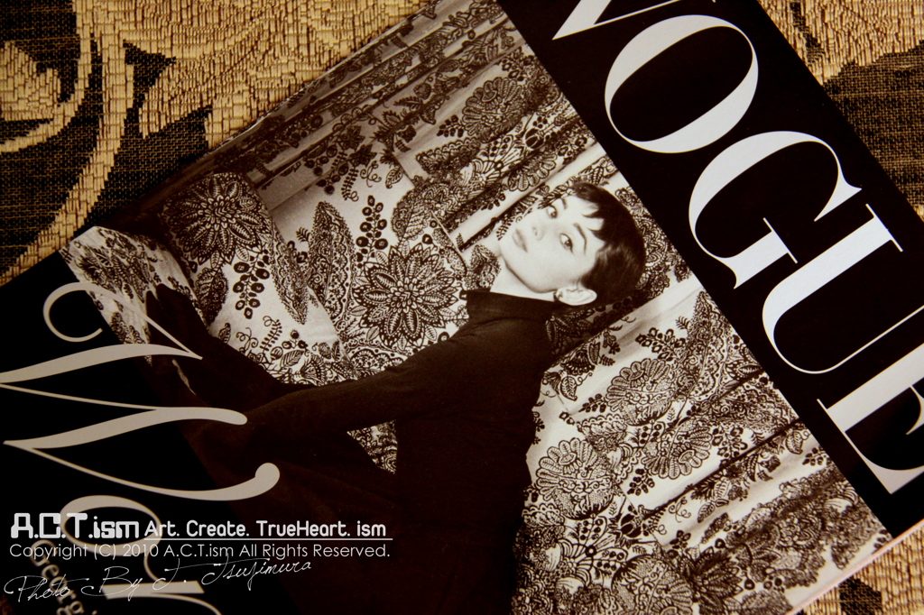 Audrey Hepburn Ⅰ