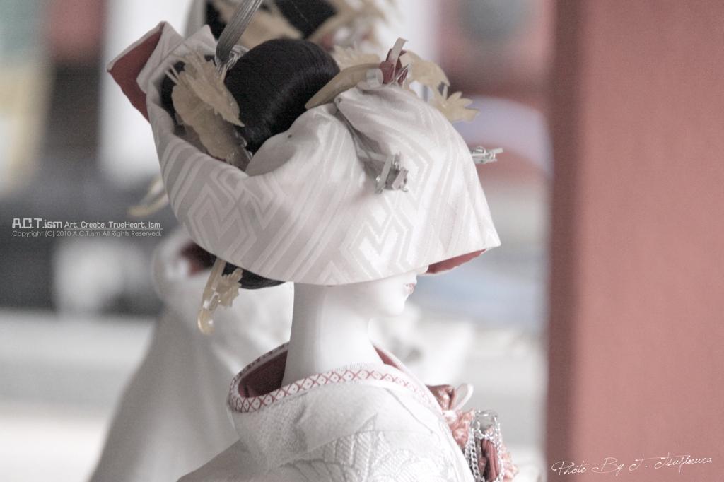 Japanese Doll Ⅴ