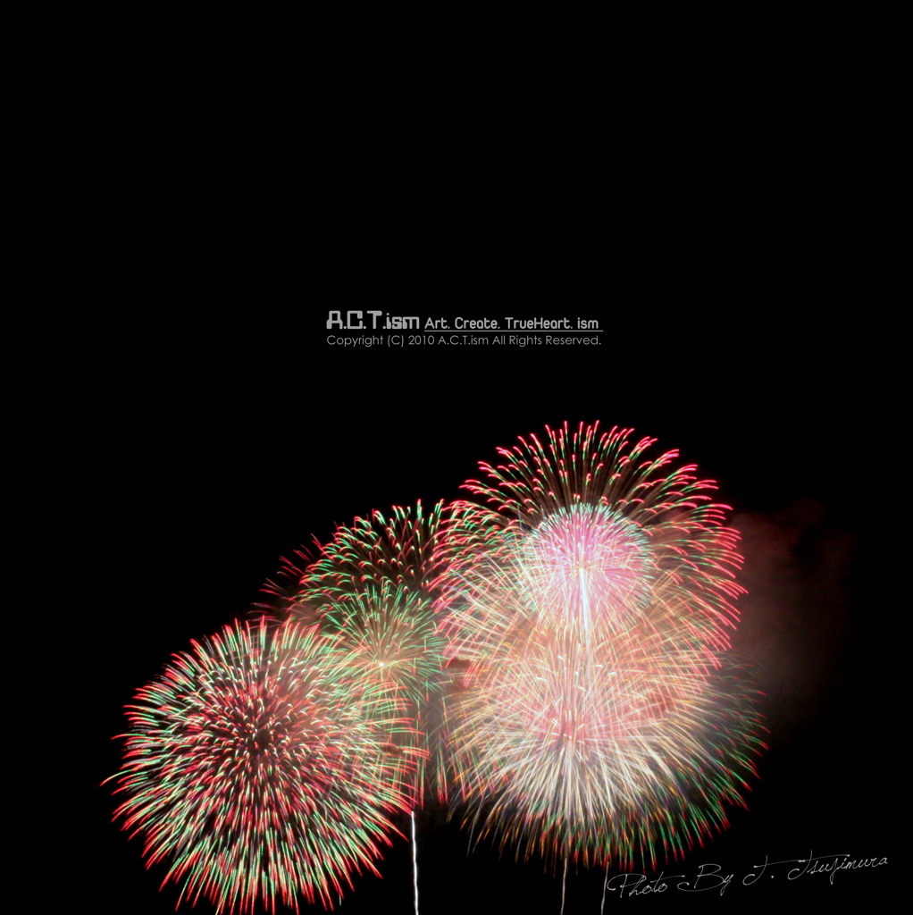 Perfect Liberty　≪color≫　Ⅱ