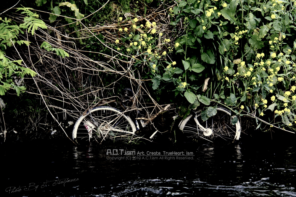 Not Flow・・・