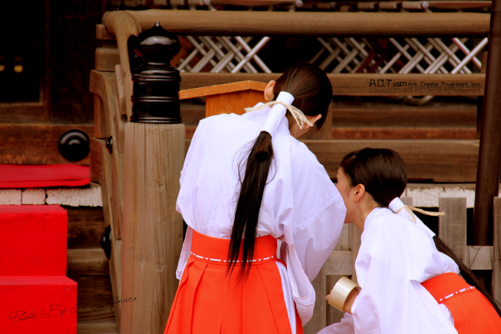 Shrine Maiden　Ⅴ