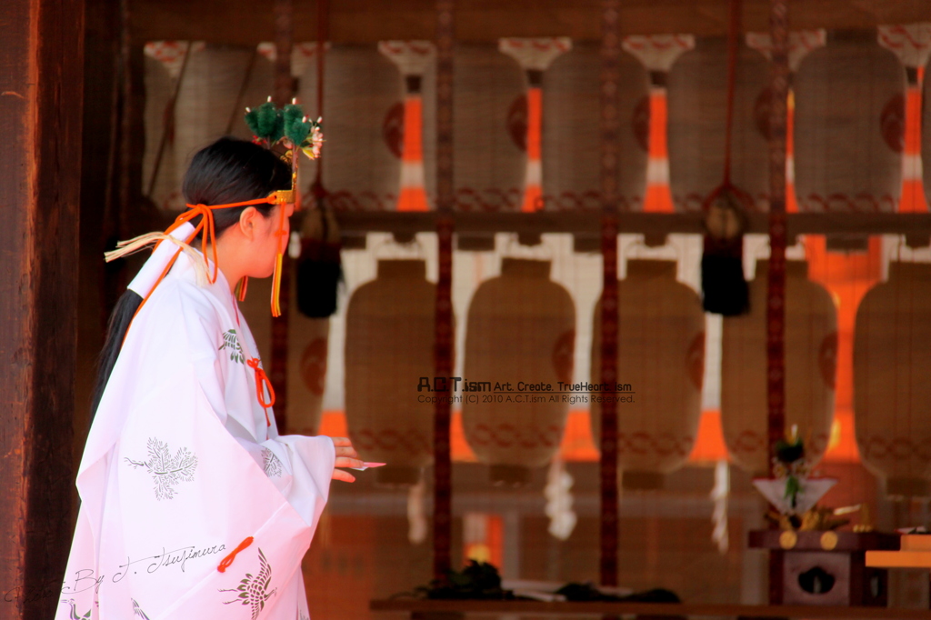Shrine Maiden　Ⅵ