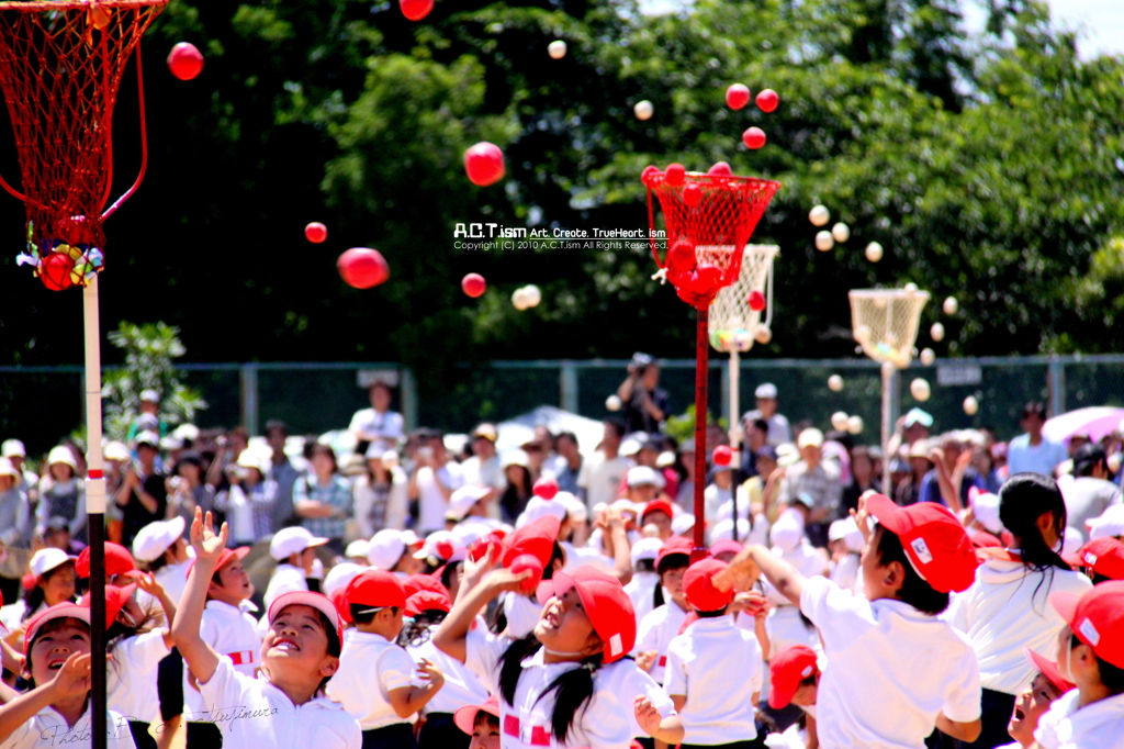 Into The Basket☆