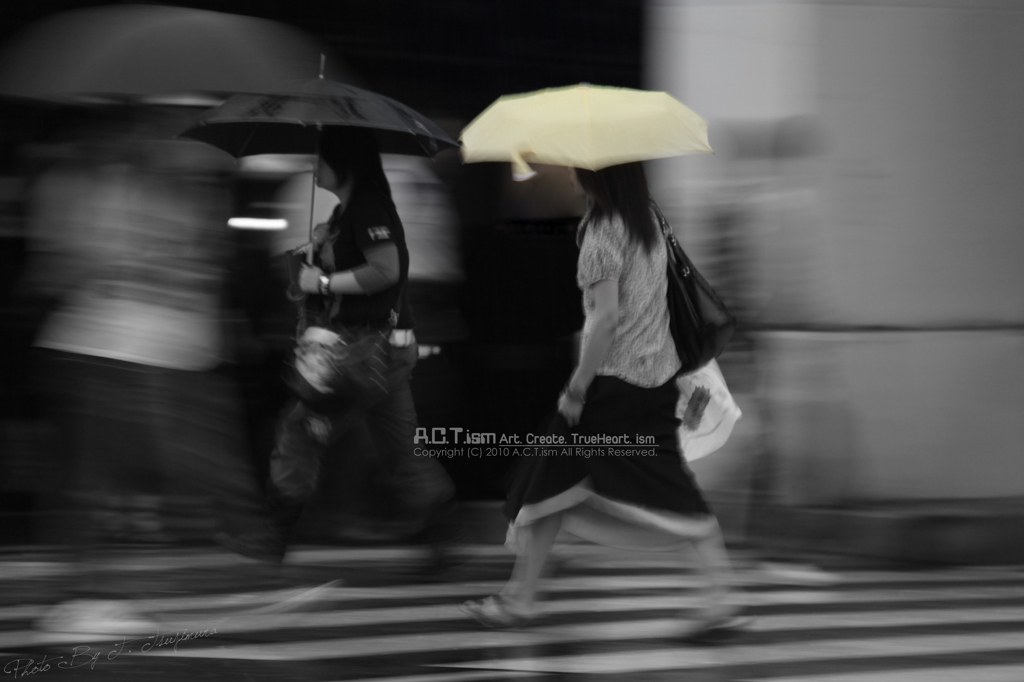 The Rainy Crossing　Ⅱ