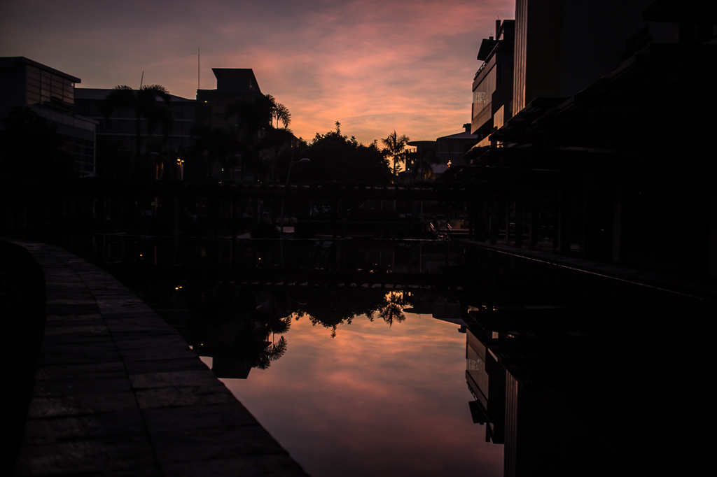 水に写る朝