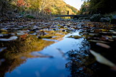 紅葉を見に