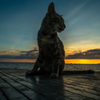 Sunset with Cat