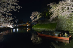 2017夜桜 - 彦根城