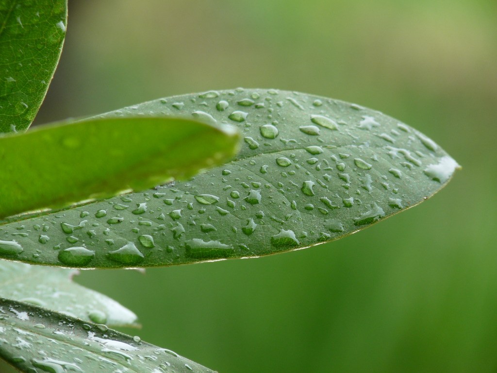梅雨明けはまだ…