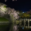 2017夜桜 - 彦根城