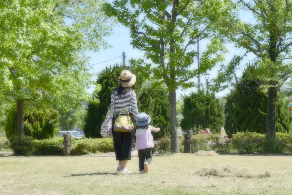 ほのぼの散歩