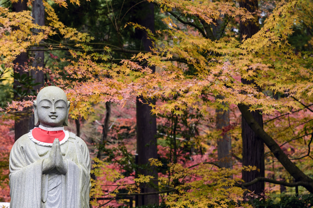 紅葉 - 金剛輪寺にて