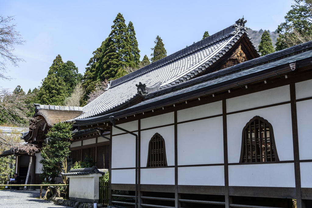 京都三千院にて