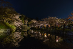 2017夜桜 - 彦根城