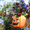 ハロウィン