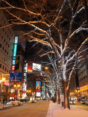 札幌夜スナップ #11　（夜の街ススキノ）