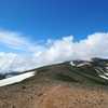 気持ちよさそうな登山道