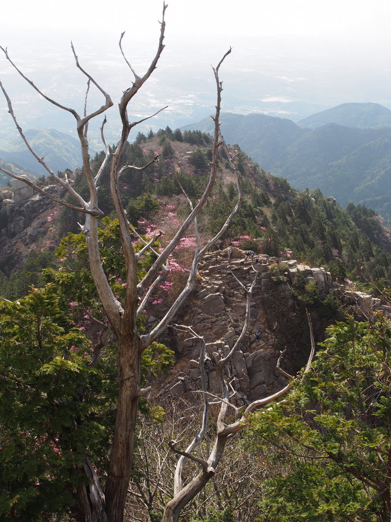 御在所中道登山道・・・キレット